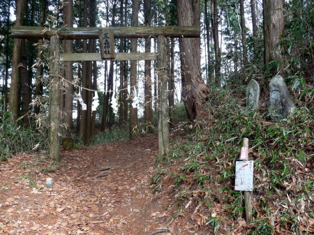 P1100009_001.jpg