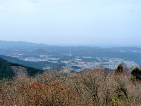 P1100012_001.jpg
