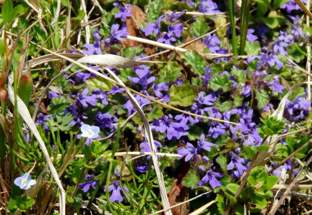 P1100053.jpg