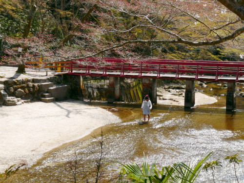 P1100065.jpg