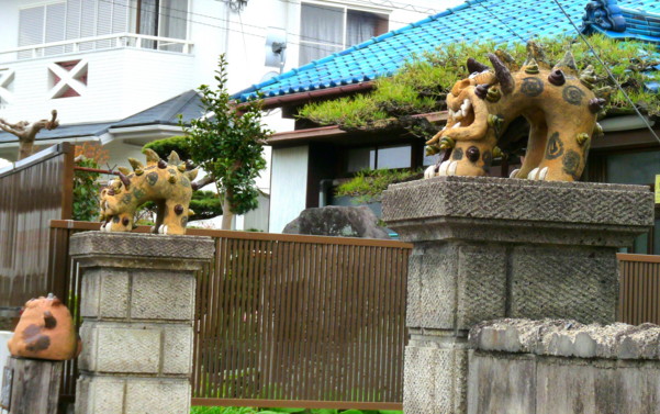 P1100072.jpg