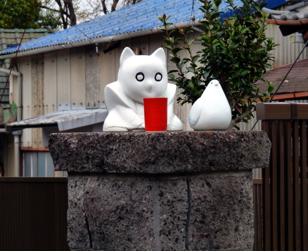 P1100073.jpg