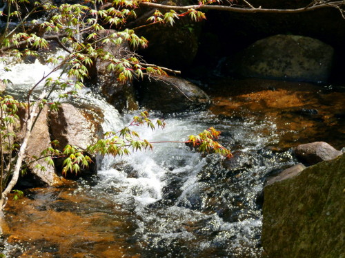 P1100080.jpg