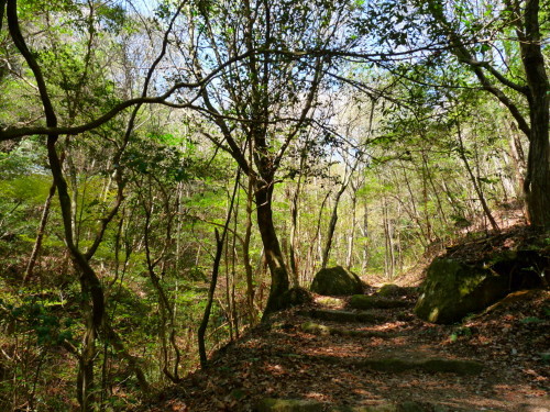 P1100082.jpg