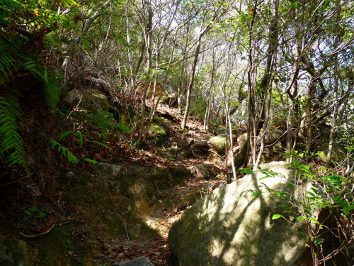 P1100087.jpg
