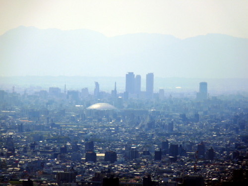 P1100090.jpg