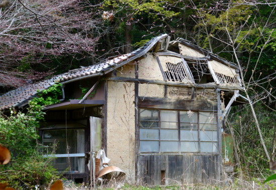 P1100141.jpg
