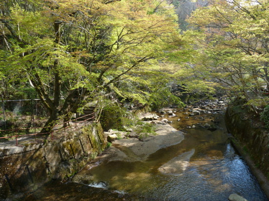 P1100143.jpg
