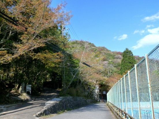 P1100144.jpg