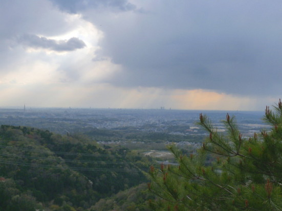 P1100147.jpg