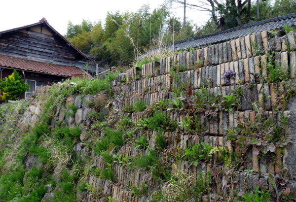 P1100153.jpg