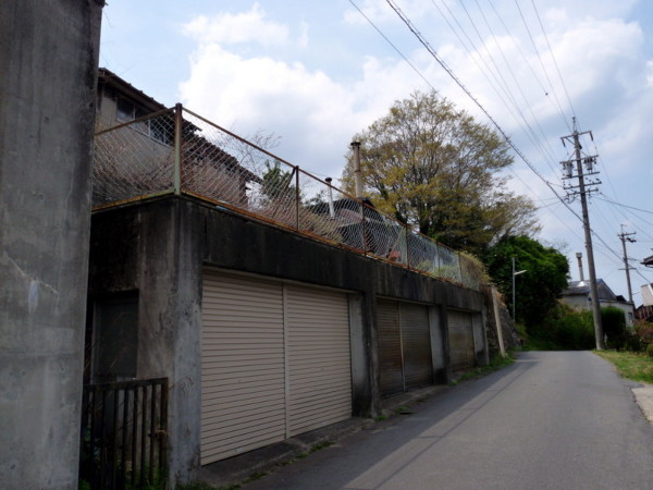 P1100154.jpg