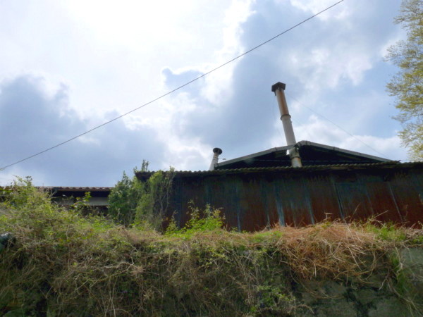 P1100155.jpg