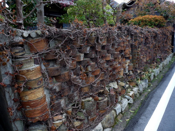 P1100156.jpg
