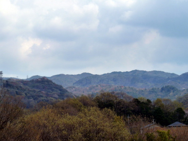P1100159.jpg