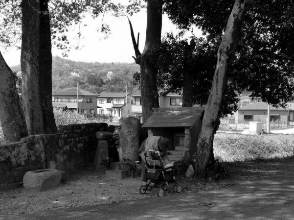 P1100161.jpg