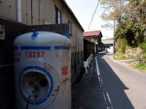 P1100163.jpg