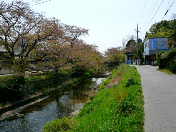 P1100167.jpg