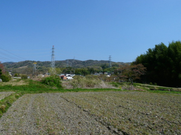 P1100170.jpg