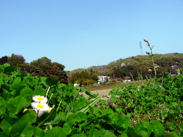 P1100209.jpg