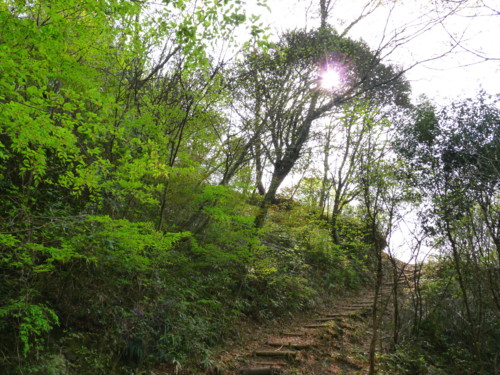 P1100219.jpg