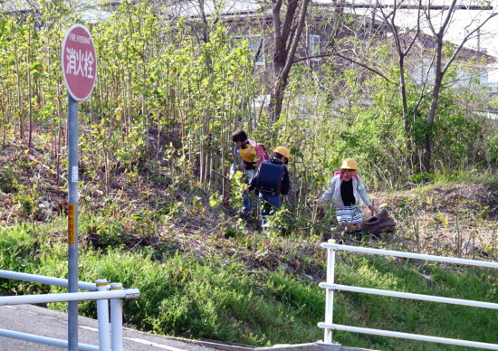 P1100221.jpg