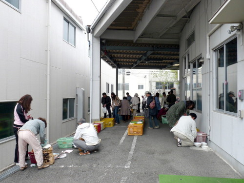 P1100233.jpg