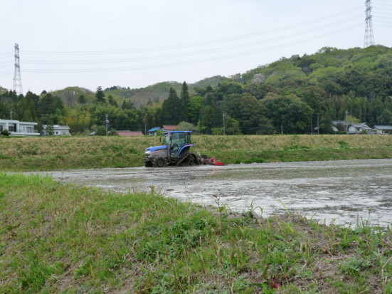 P1100243.jpg