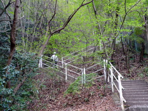 P1100246.jpg