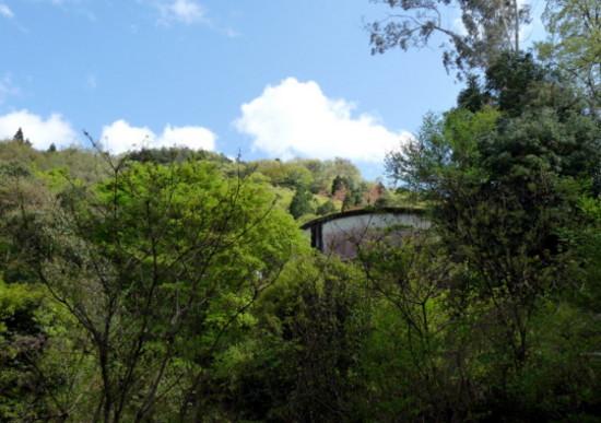 P1100254yhg.jpg