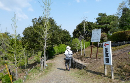 P1100354.jpg