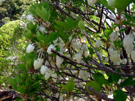 P1100355.jpg
