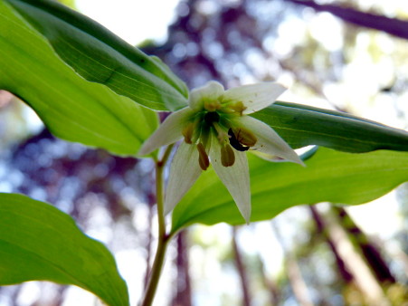 P1100377.jpg