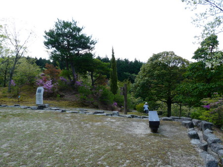 P1100380.jpg