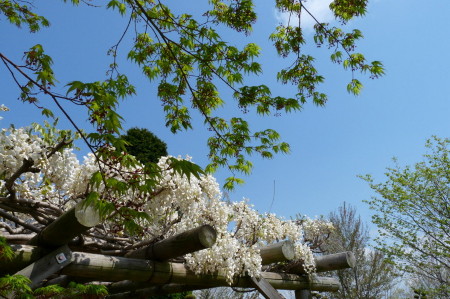 P1100387.jpg