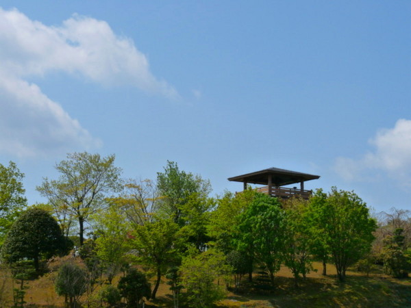 P1100390.jpg