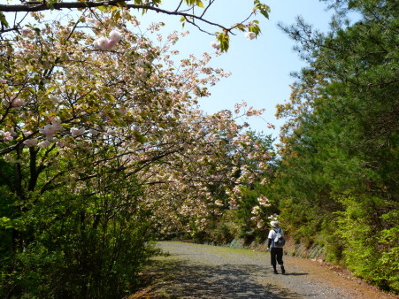 P1100392.jpg