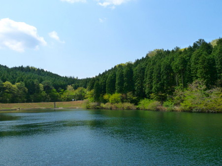 P1100396.jpg