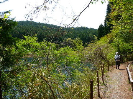 P1100397.jpg