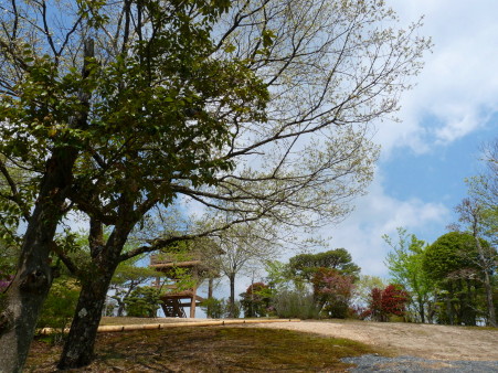 P1100413.jpg