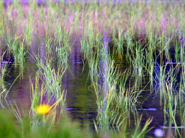P1100483ty.jpg