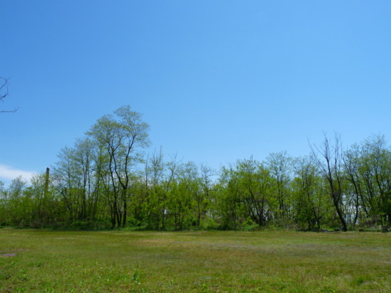P1100487.jpg