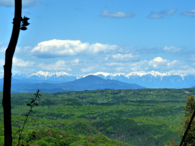 P1100517.jpg