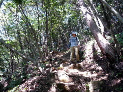 P1100518.jpg