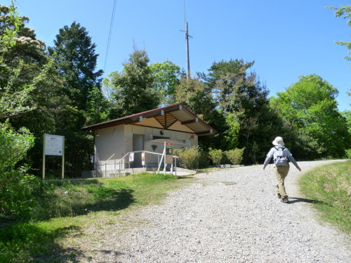 P1100525.jpg