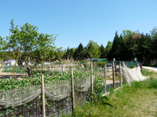 P1100541.jpg