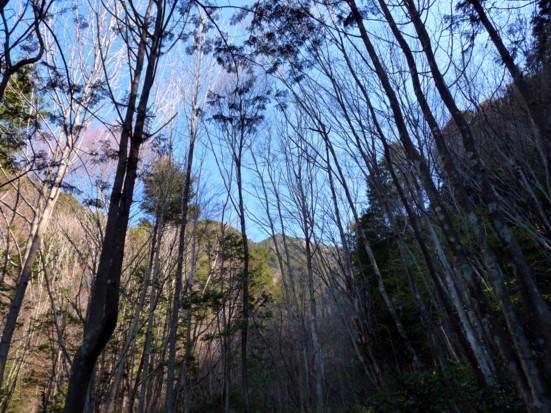 P1100619.jpg