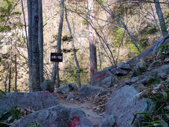 P1100622.jpg