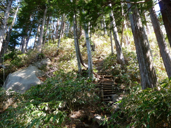P1100640.jpg