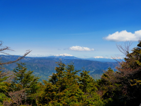 P1100660.jpg